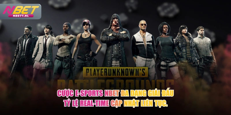 Cược E-Sports NBET đa dạng giải đấu tỷ lệ real-time cập nhật liên tục.