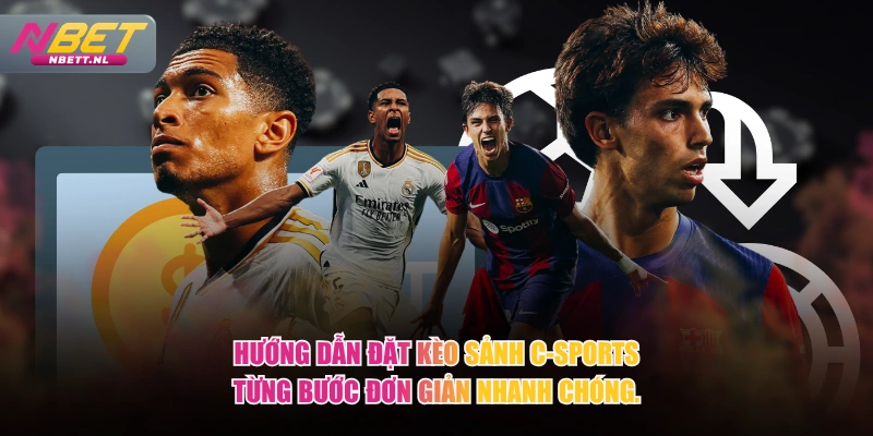 Hướng dẫn đặt kèo sảnh C-Sports từng bước đơn giản nhanh chóng.