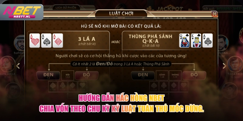 Hướng dẫn Hắc Hồng NBET chia vốn theo chu kỳ kỷ luật tuân thủ mốc dừng.